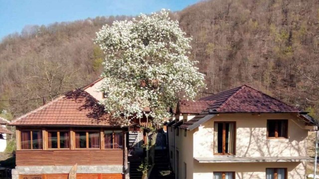 Planinski Dom Šum - Crni vrh